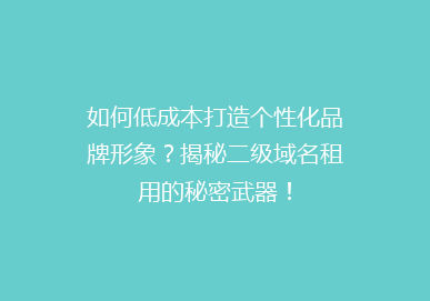 如何低成本打造个性化品牌形象？揭秘二级域名租用的秘密武器！