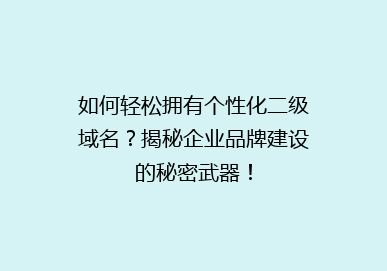 如何轻松拥有个性化二级域名？揭秘企业品牌建设的秘密武器！