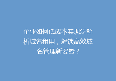 企业如何低成本实现泛解析域名租用，解锁高效域名管理新姿势？
