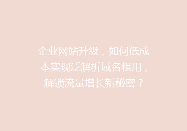 企业网站升级，如何低成本实现泛解析域名租用，解锁流量增长新秘密？