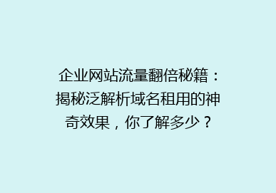 企业网站流量翻倍秘籍：揭秘泛解析域名租用的神奇效果，你了解多少？