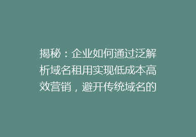 揭秘：企业如何通过泛解析域名租用实现低成本高效营销，避开传统域名的坑？
