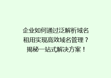 企业如何通过泛解析域名租用实现高效域名管理？揭秘一站式解决方案！