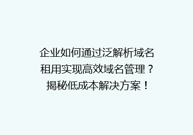 企业如何通过泛解析域名租用实现高效域名管理？揭秘低成本解决方案！