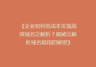 《企业如何低成本实现高效域名泛解析？揭秘泛解析域名租用的秘密》