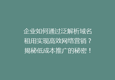 企业如何通过泛解析域名租用实现高效网络营销？揭秘低成本推广的秘密！