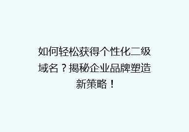 如何轻松获得个性化二级域名？揭秘企业品牌塑造新策略！