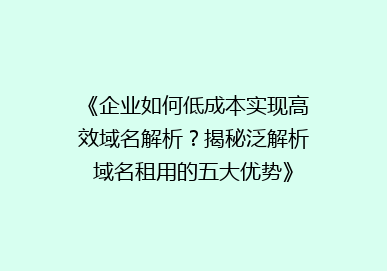 《企业如何低成本实现高效域名解析？揭秘泛解析域名租用的五大优势》