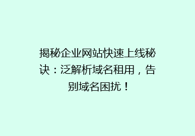 揭秘企业网站快速上线秘诀：泛解析域名租用，告别域名困扰！