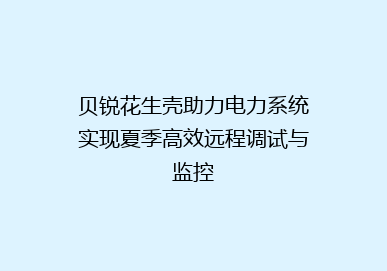 贝锐花生壳助力电力系统实现夏季高效远程调试与监控