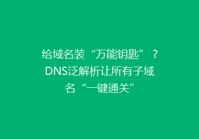 给域名装“万能钥匙”?DNS泛解析让所有子域名“一键通关”